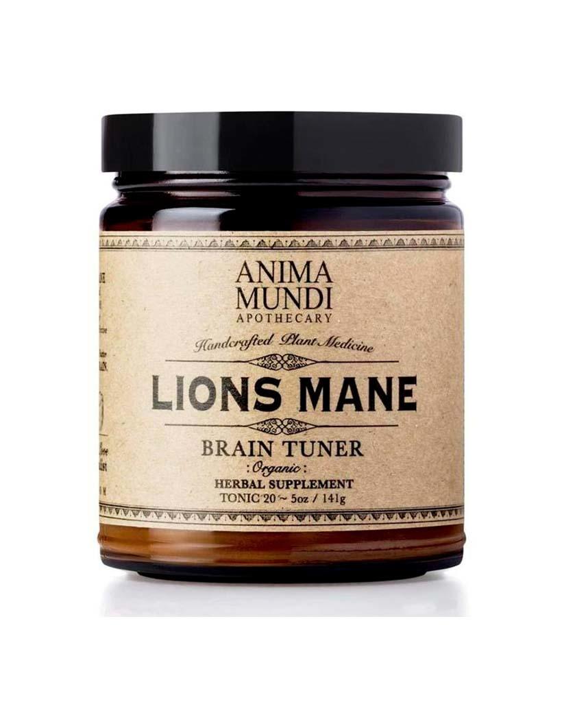 LION'S MANE | Brain Super-Tonic - 19WA2914_1
